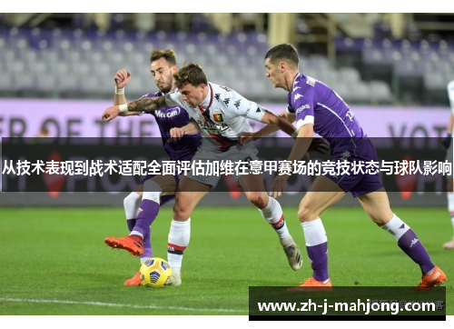 从技术表现到战术适配全面评估加维在意甲赛场的竞技状态与球队影响
